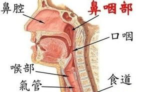 鼻咽癌化疗的技术