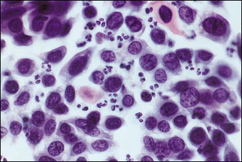 ���۰���Ҫ�������