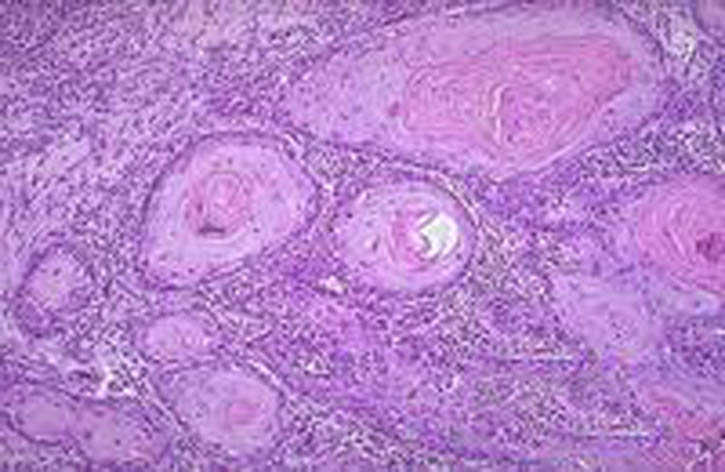 ��״ϸ�������ڵ���ҽ����