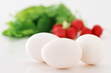 ��״ϸ�������ߵ���ʳ����